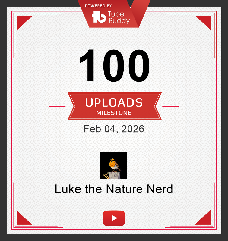 milestone image